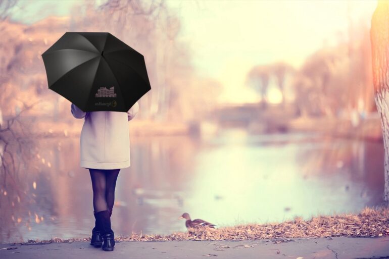 Omslagsbild till årsredovisning 2024