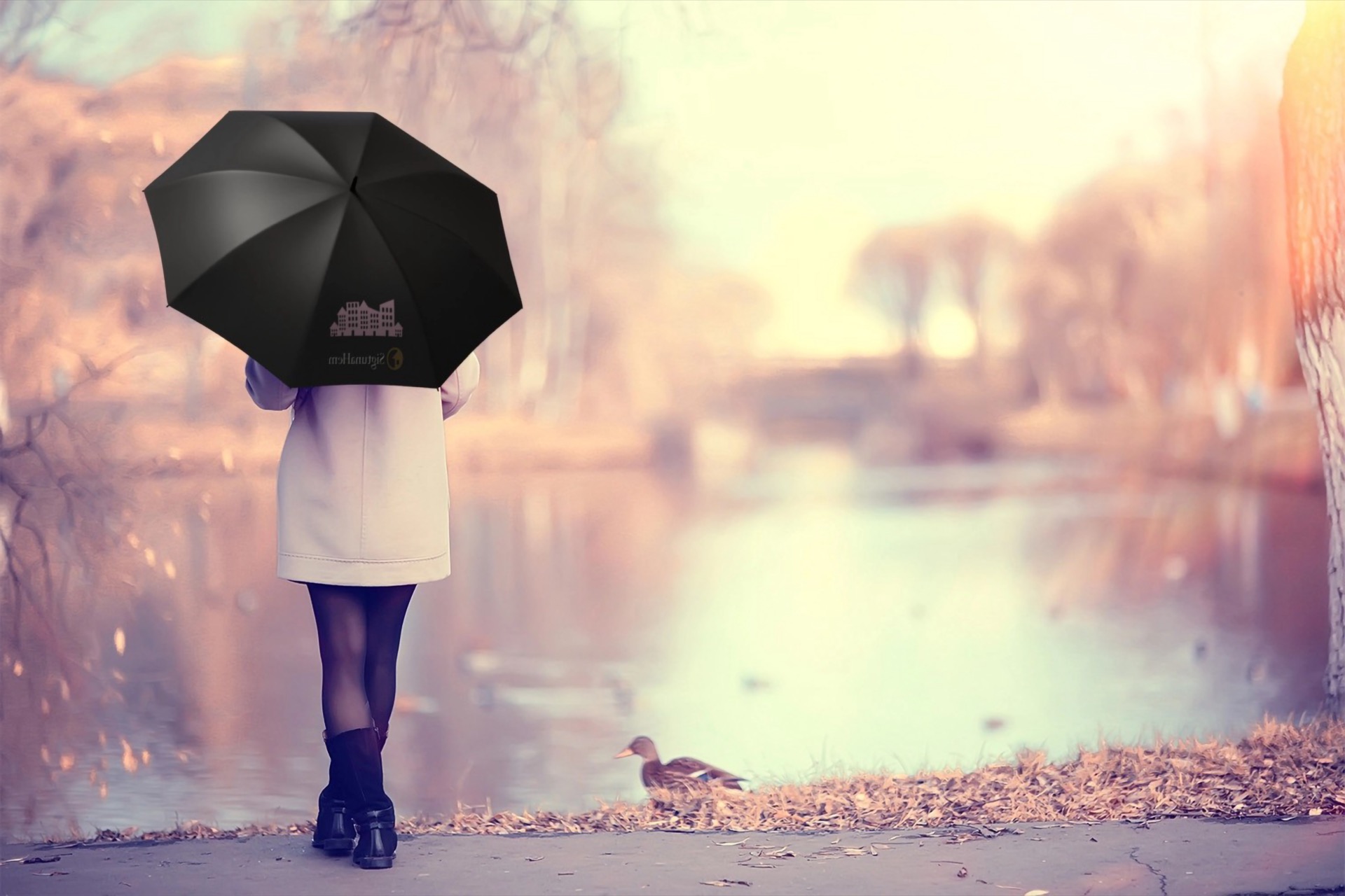 Omslagsbild till årsredovisning 2024